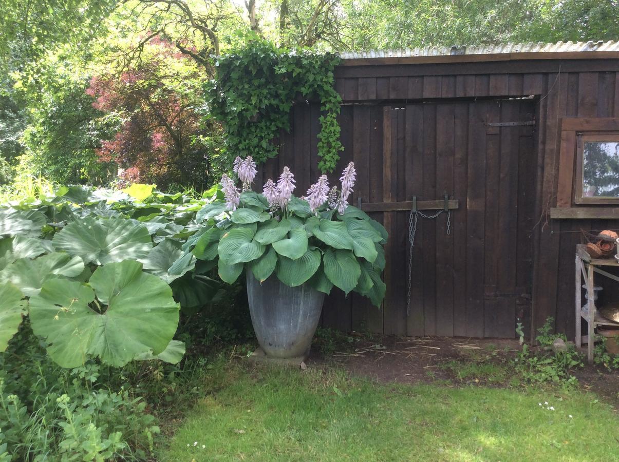 Bed And Breakfast - Stakdelen 47 Allerup Exterior foto