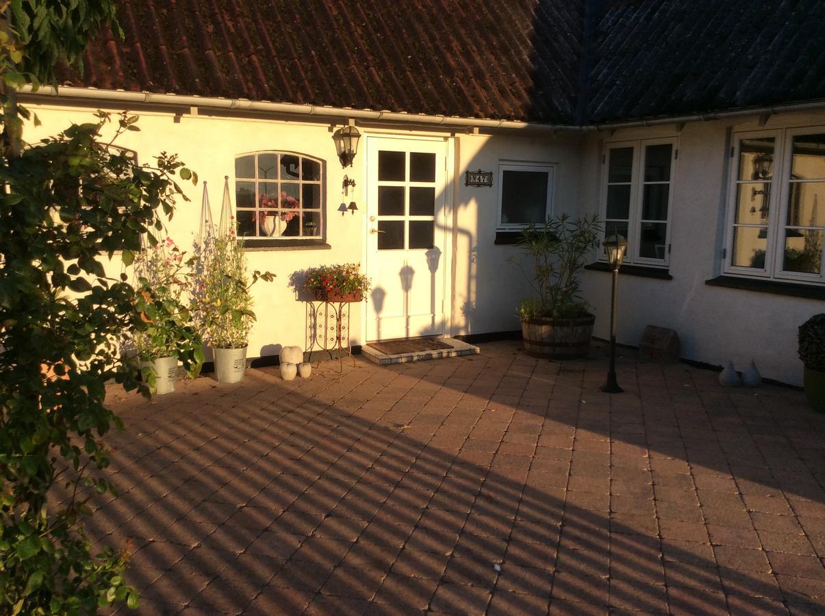 Bed And Breakfast - Stakdelen 47 Allerup Exterior foto